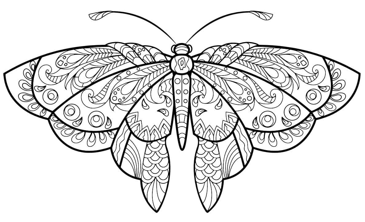 Papillon Adulte (2) coloring page
