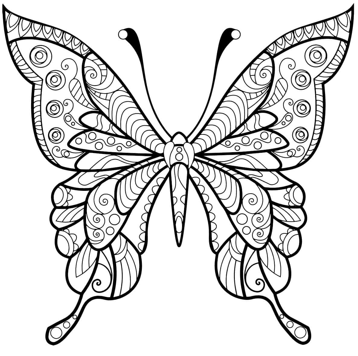 Papillon Adulte (3) coloring page
