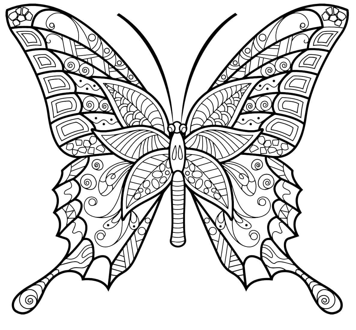 Papillon Adulte (6) coloring page