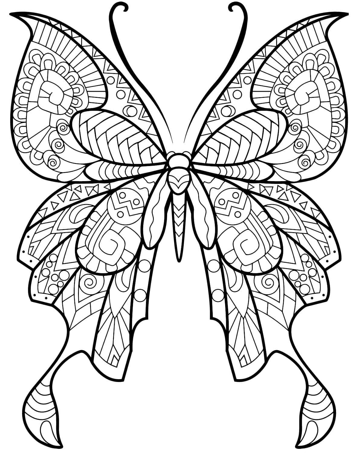 Coloriage Papillon Adulte (9)