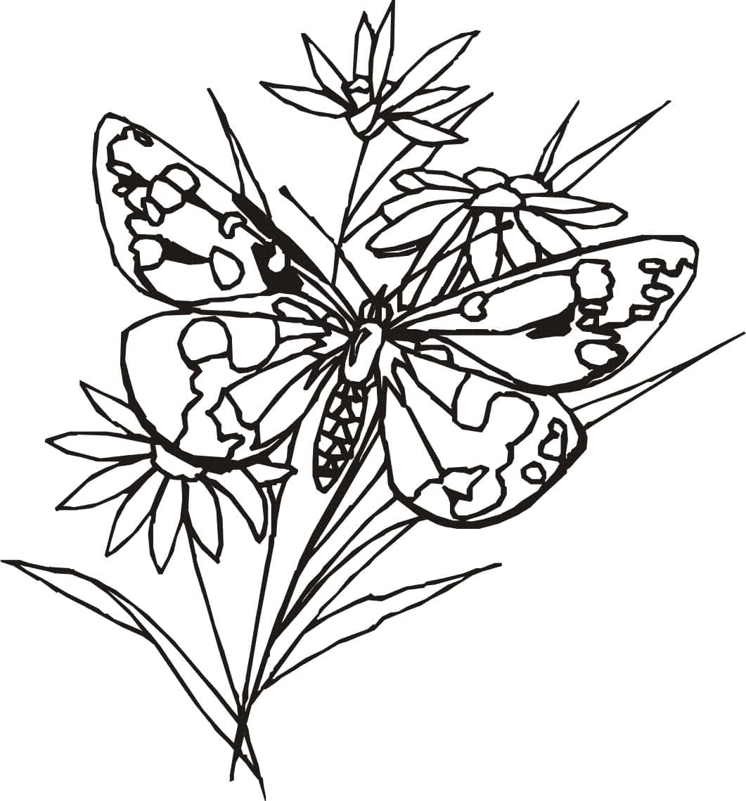Papillon avec Des Fleurs coloring page