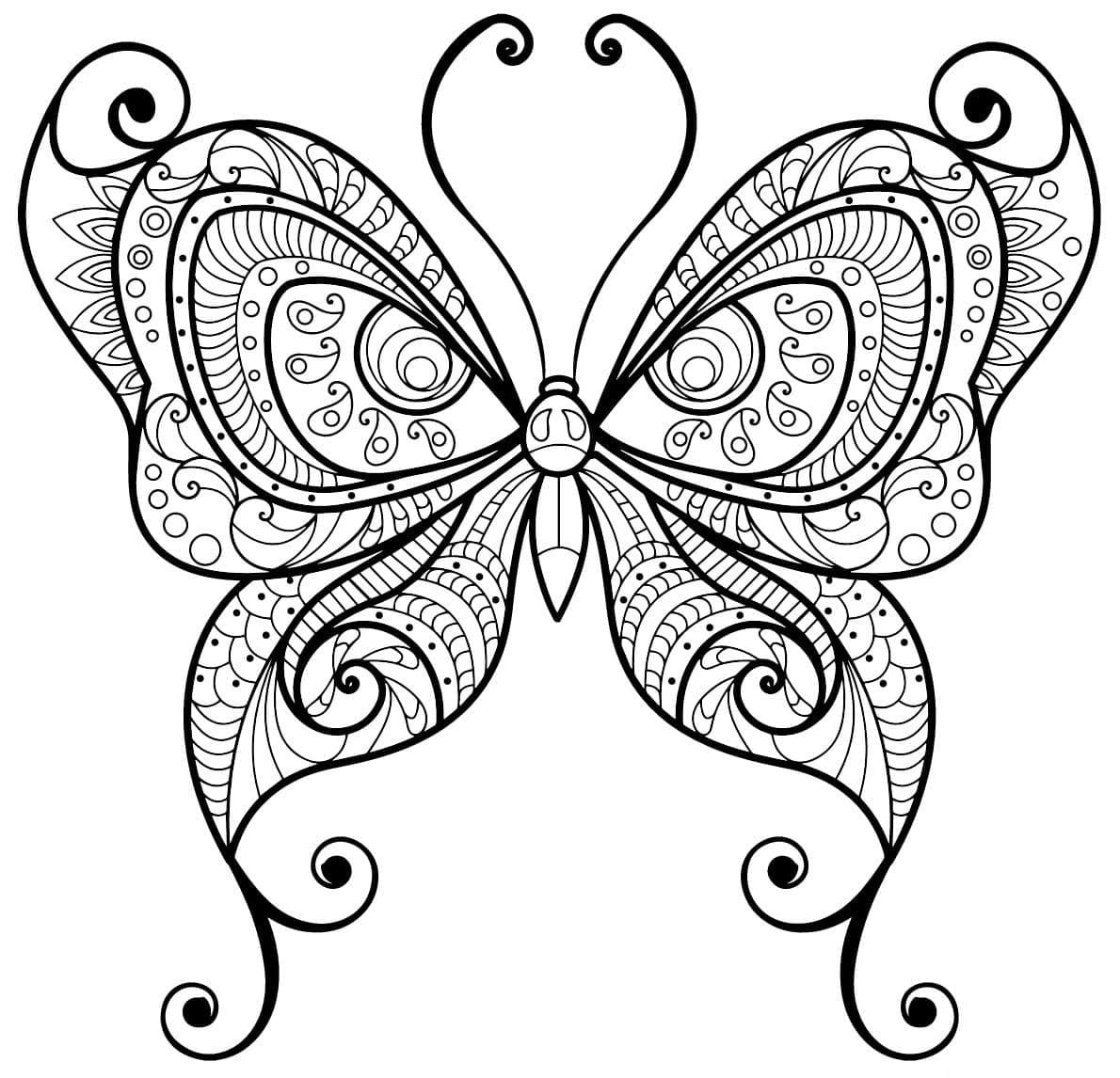 Papillon Gratuit Pour Les Adultes coloring page