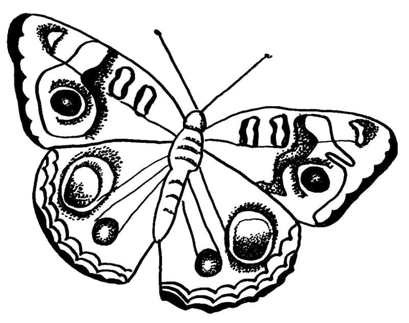 Papillon Incroyable coloring page