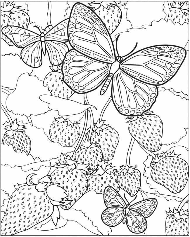Papillons et Fraises coloring page