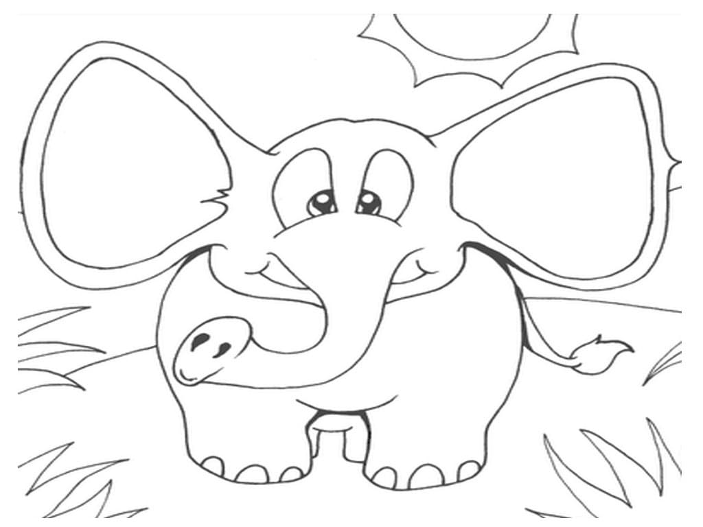 Coloriage Petit Éléphant