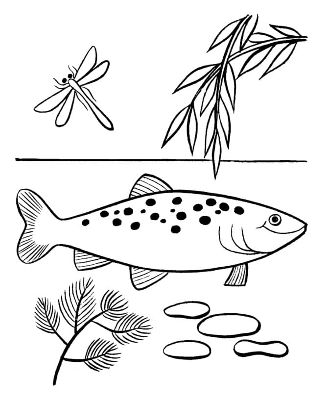 Poisson Nageant coloring page