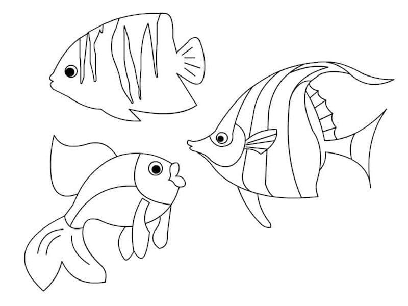 Poissons coloring page