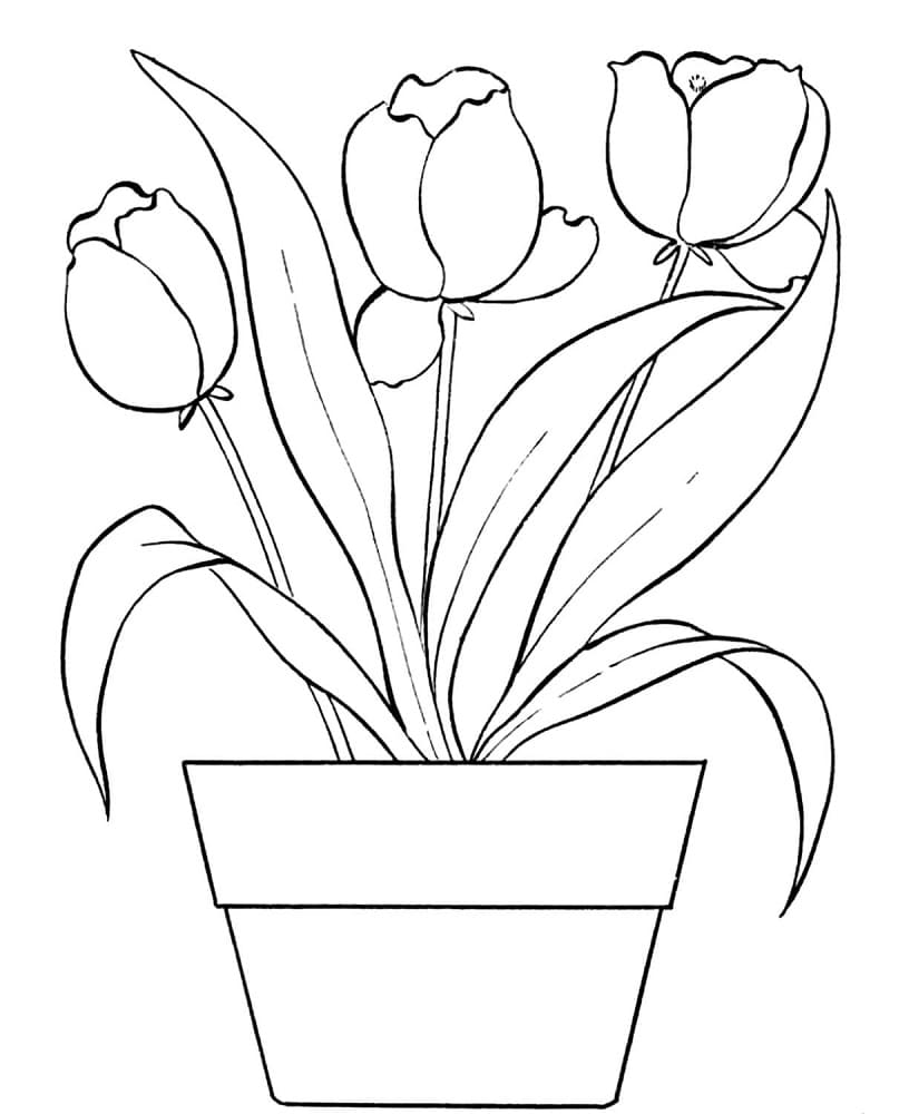 Pot de Tulipes coloring page