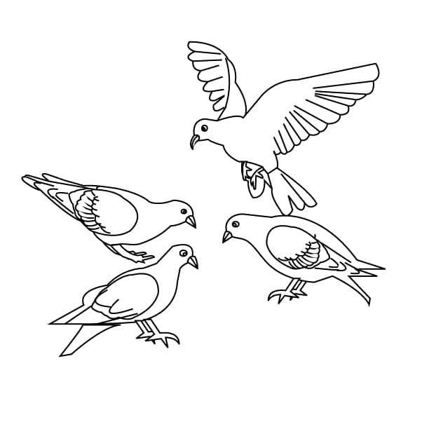 Quatre Oiseaux coloring page