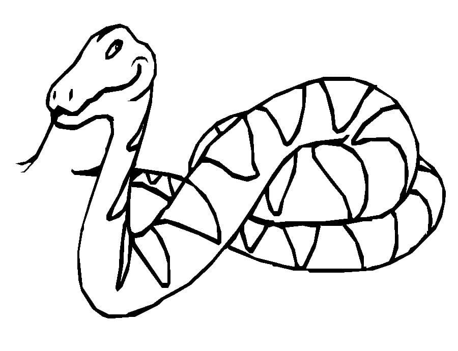 Coloriage Serpent 3