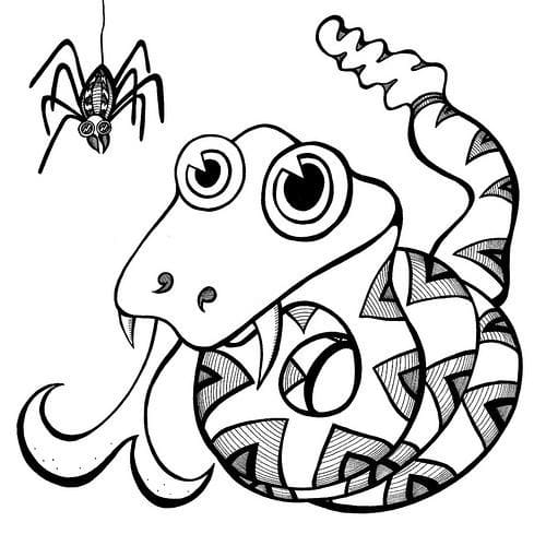 Serpent et Araignée coloring page