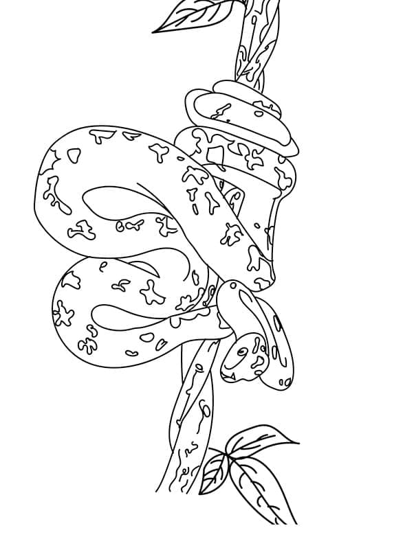 Coloriage Serpent sur un Arbre