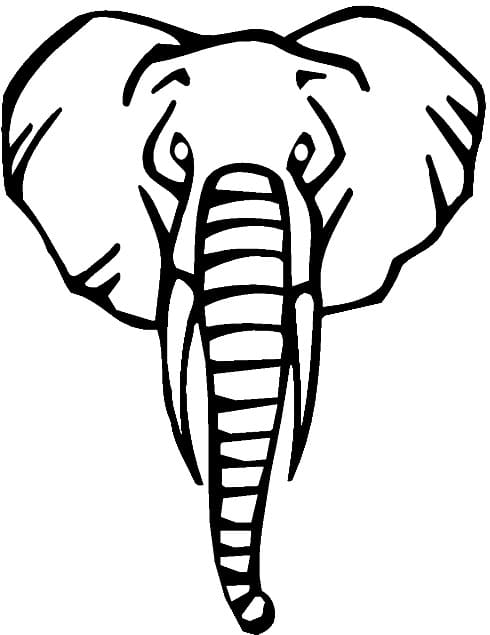 Coloriage Tête d'éléphant