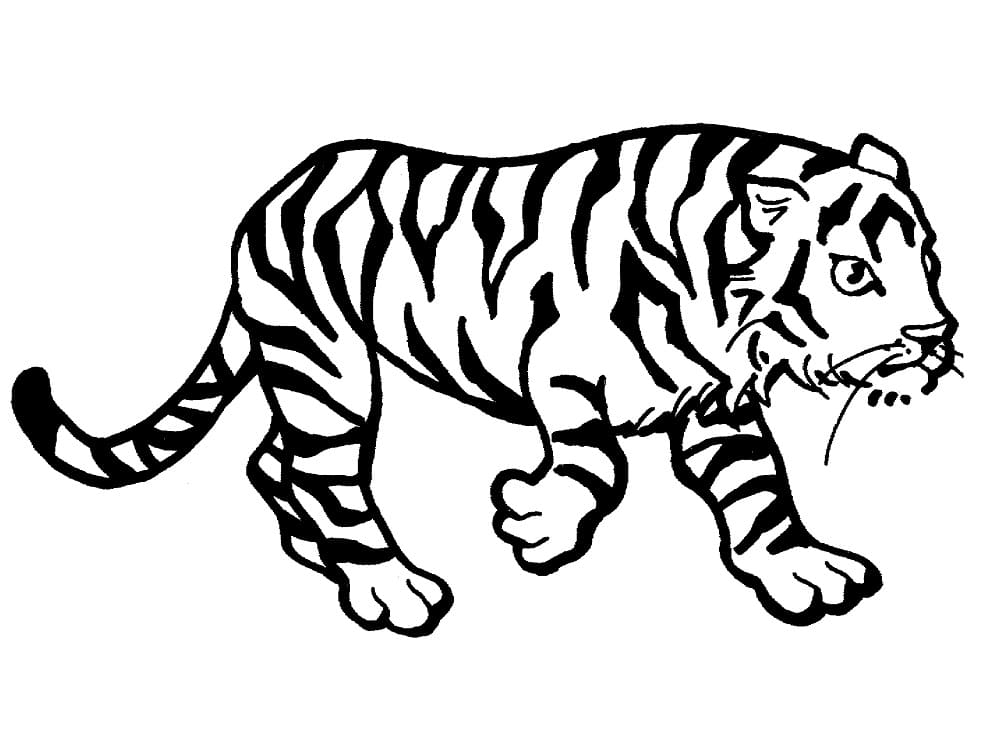 Coloriage magique tigre