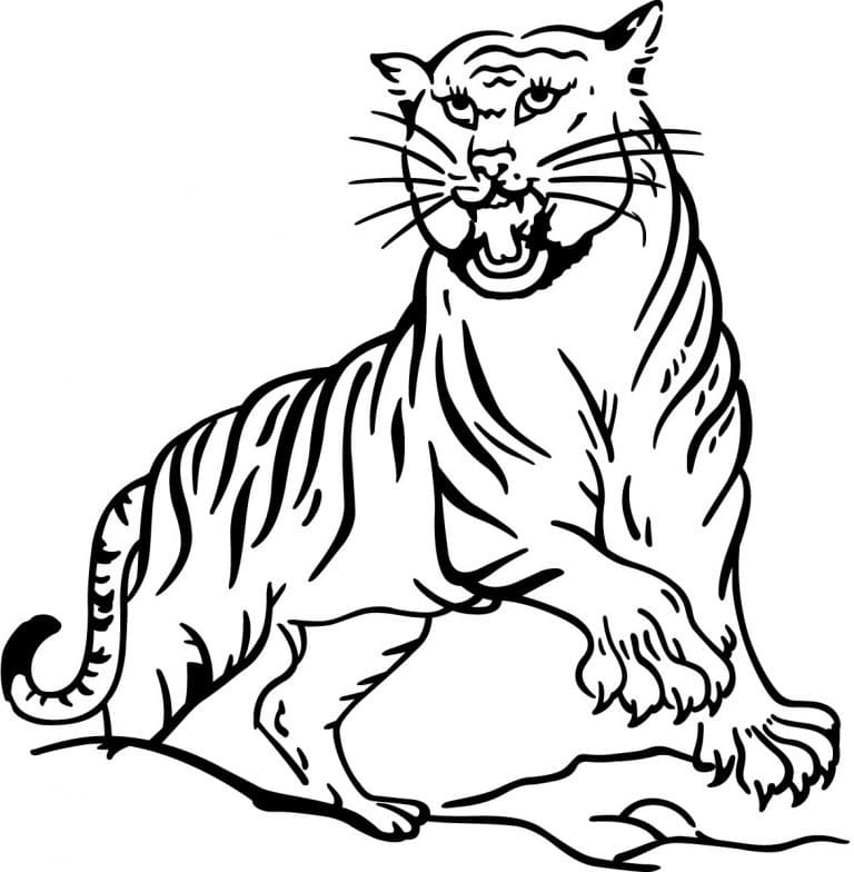 Tigre En Colère coloring page