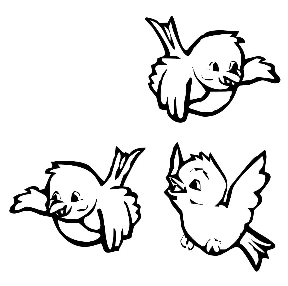 Trois Oiseaux coloring page