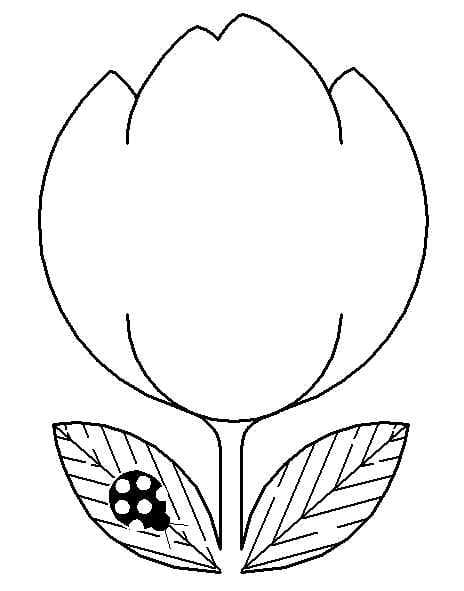 Coloriage Tulipe Mignonne