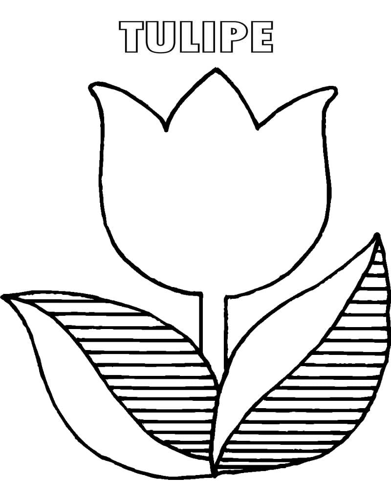 Tulipe Pour Les Enfants coloring page