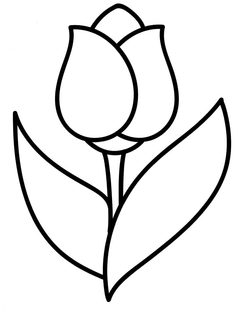 Tulipe Simple coloring page
