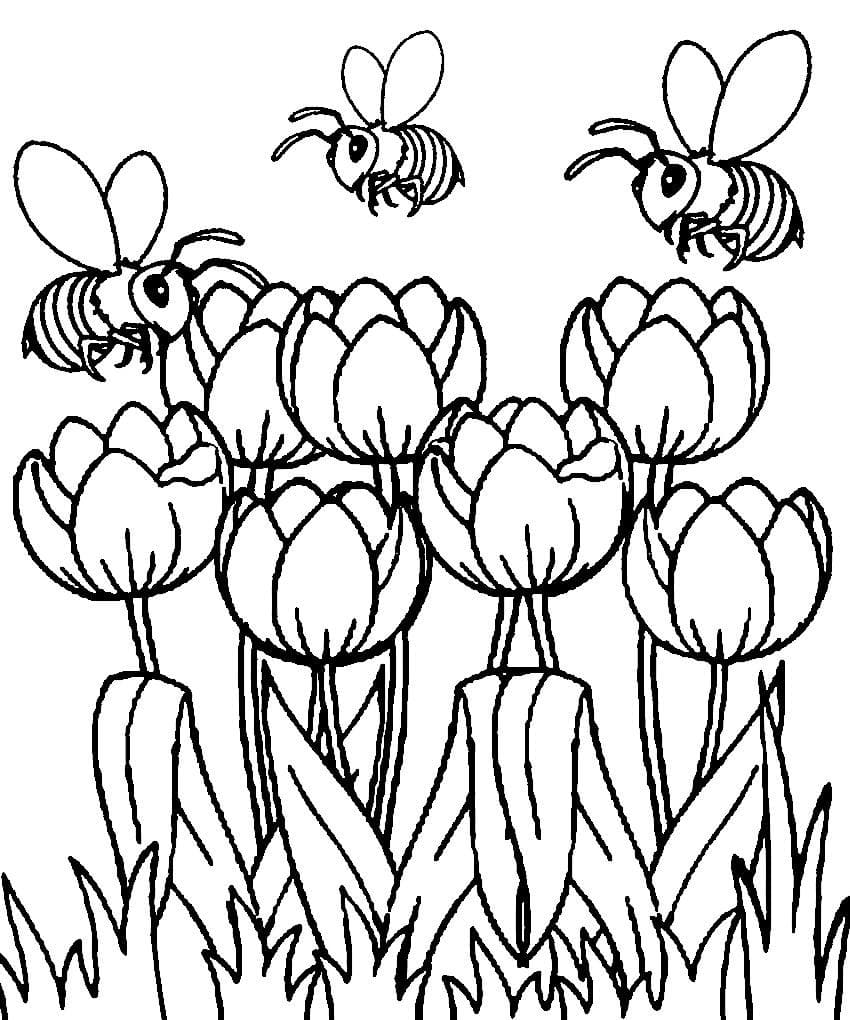 Tulipes et Abeilles coloring page