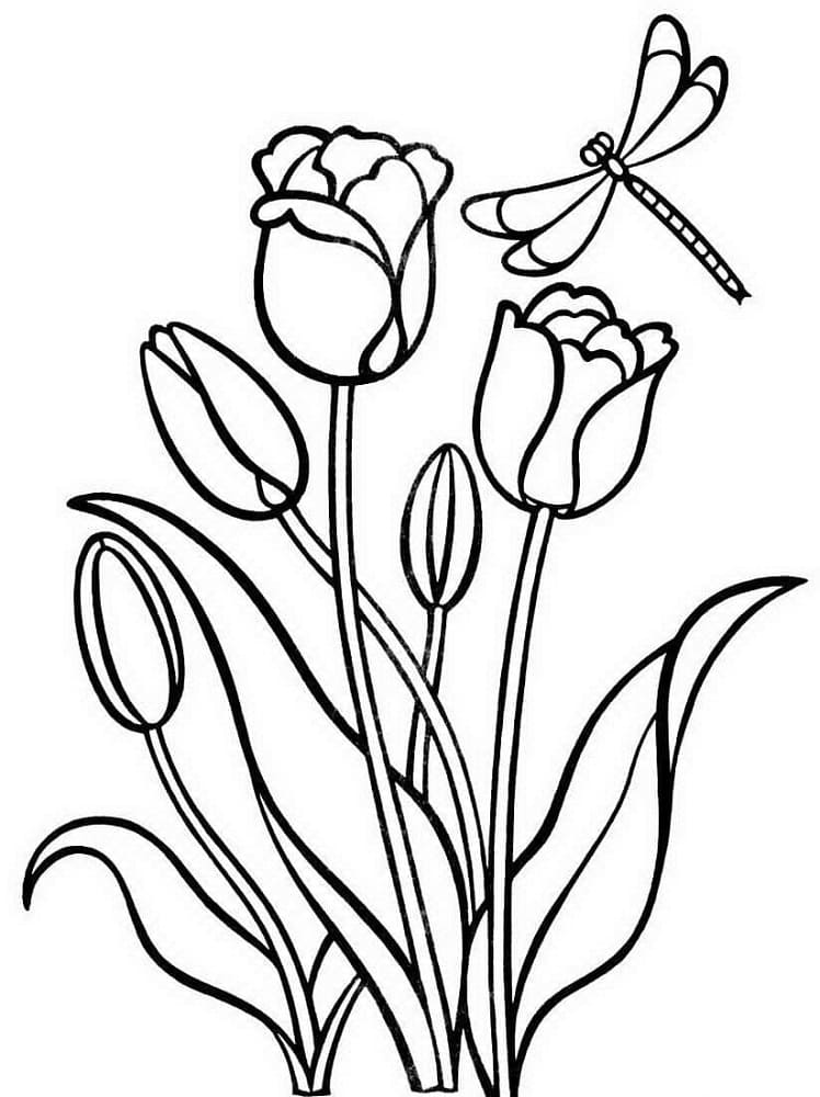 Coloriage Tulipes et Libellule