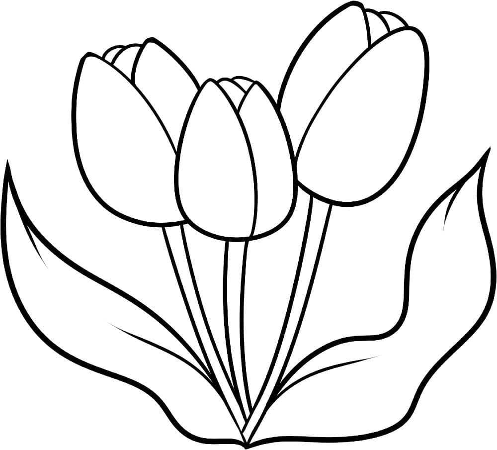 Coloriage Tulipes Très Simples