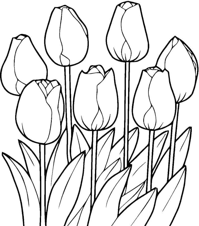 Tulipes coloring page