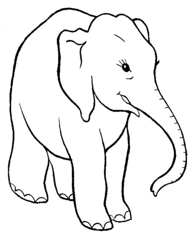 Un éléphant coloring page
