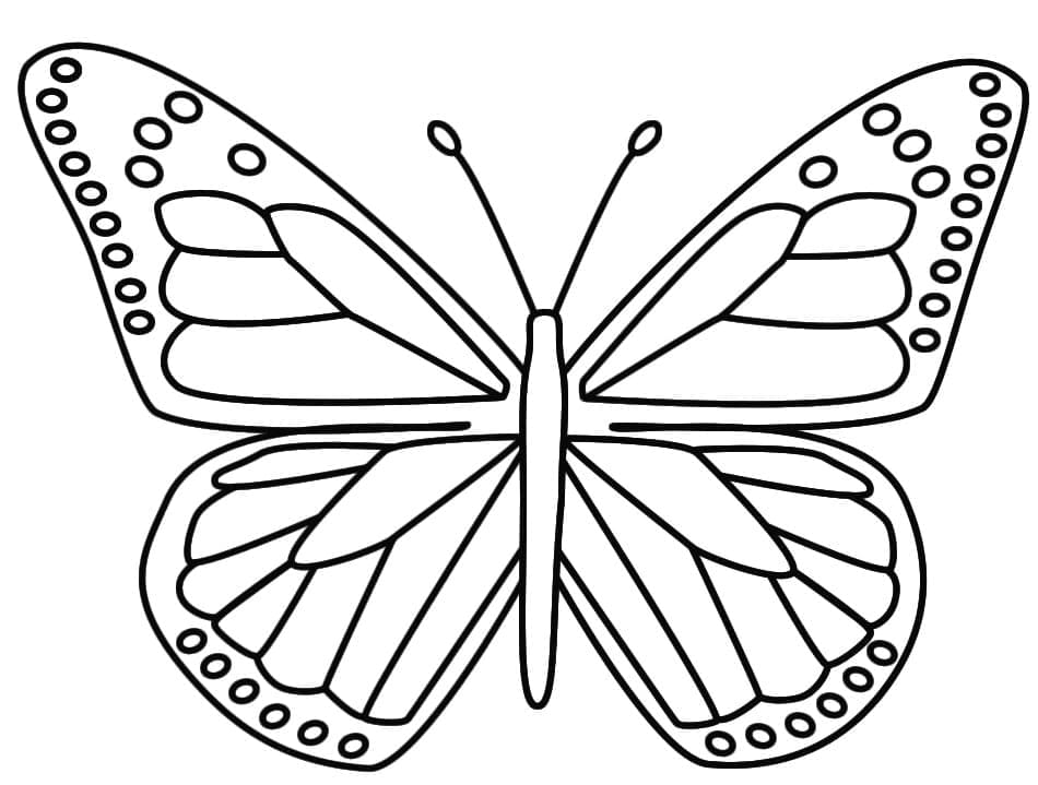 Un Gros Papillon coloring page