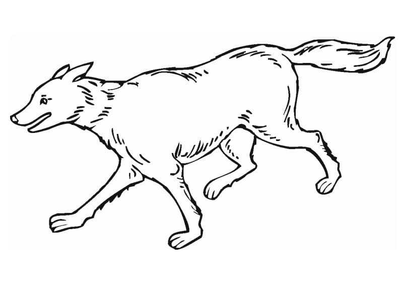 Un Loup coloring page