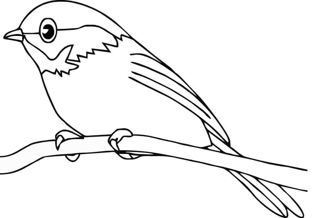 Un Oiseau Sur Une Branche coloring page