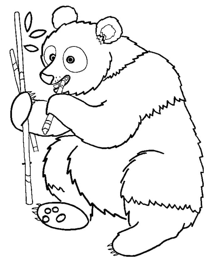 Un Panda Drôle coloring page