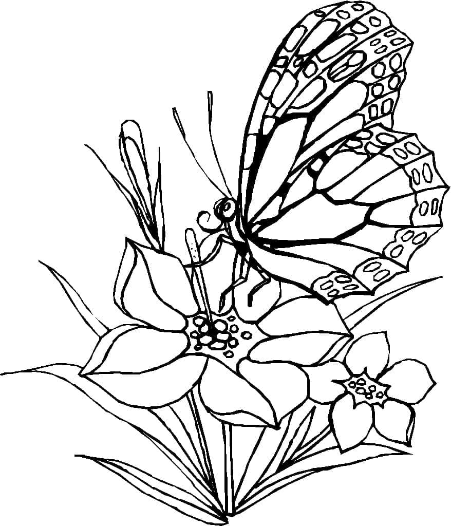Un Papillon avec Une Fleur coloring page