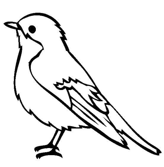 Un Petit Oiseau coloring page