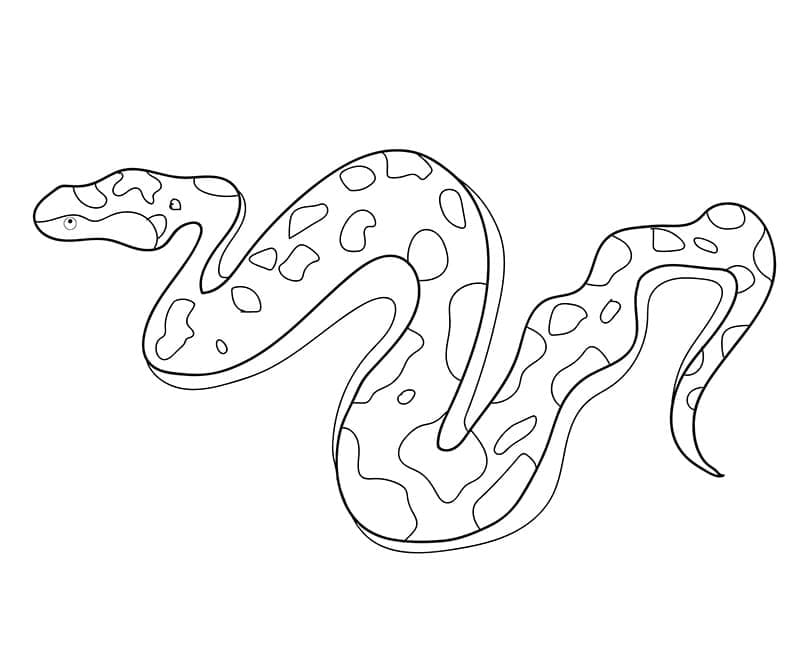 Un Serpent coloring page