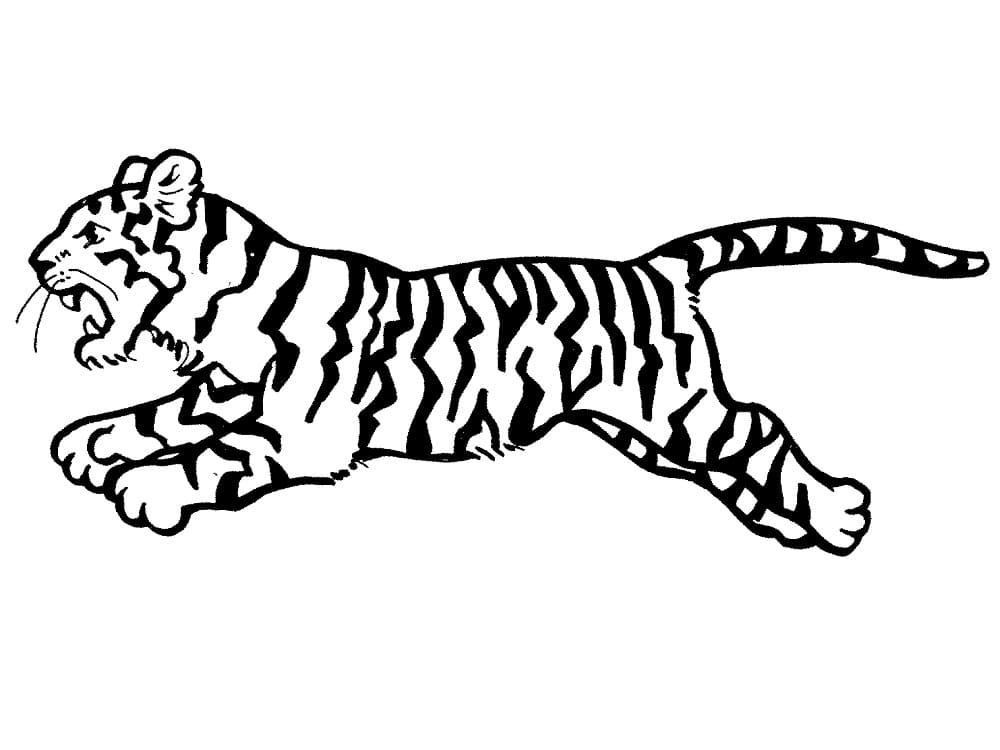 Un Tigre Qui Court coloring page