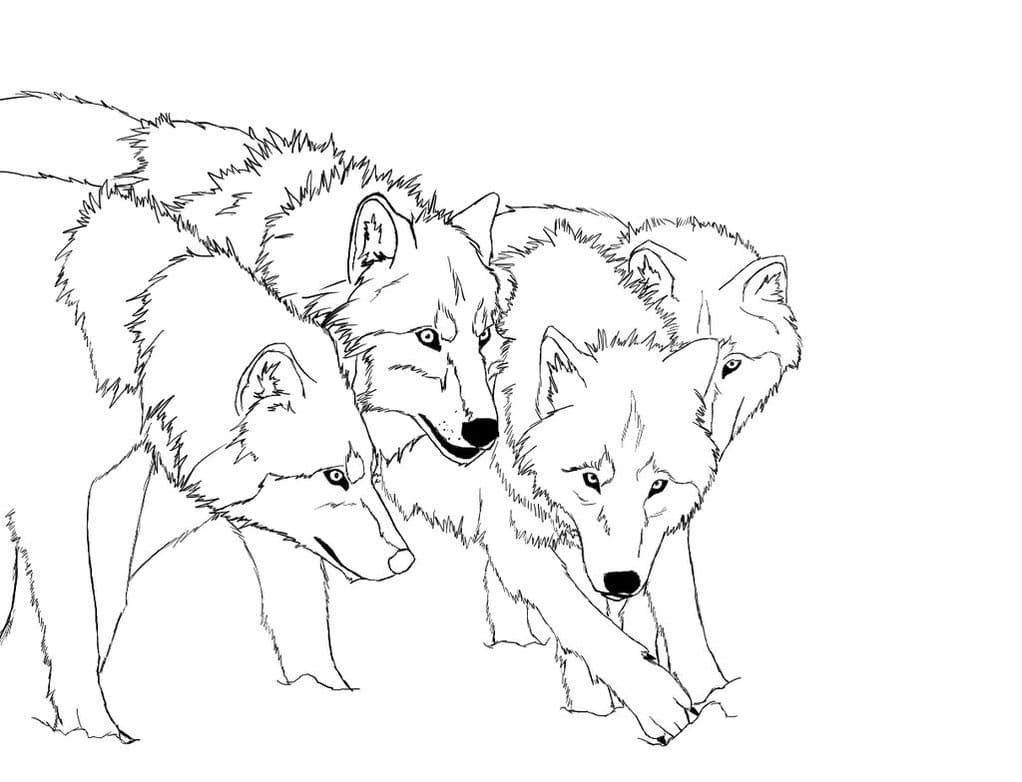 Coloriage Une Meute de Loups