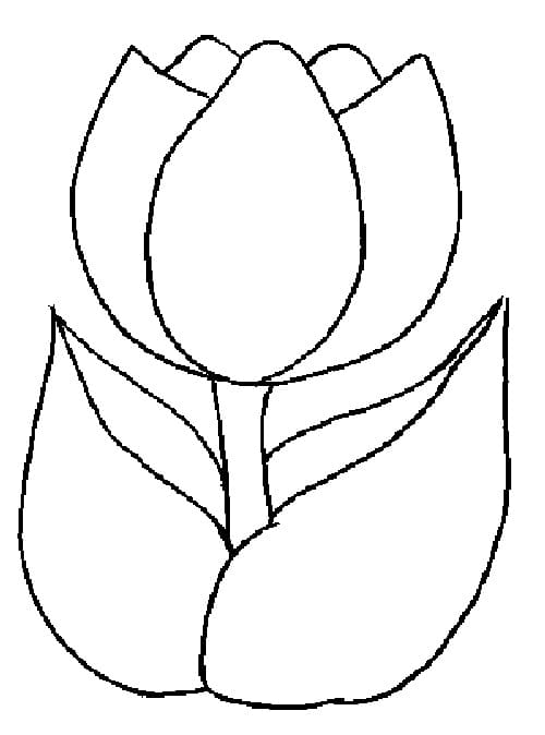 Une Tulipe coloring page