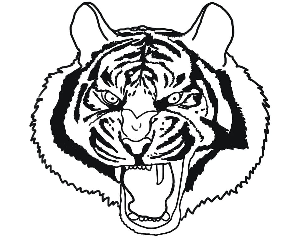 Visage de Tigre en Colère coloring page