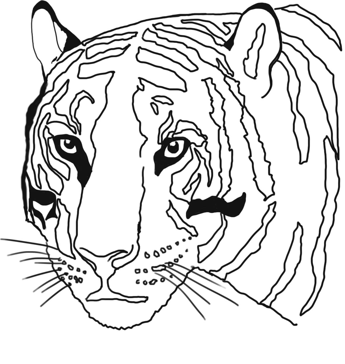 Coloriage Visage de Tigre