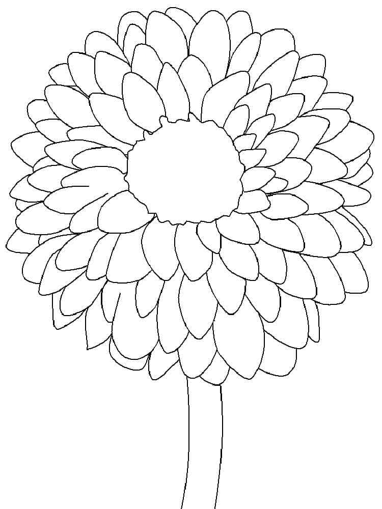 Belle Fleur de Dahlia coloring page