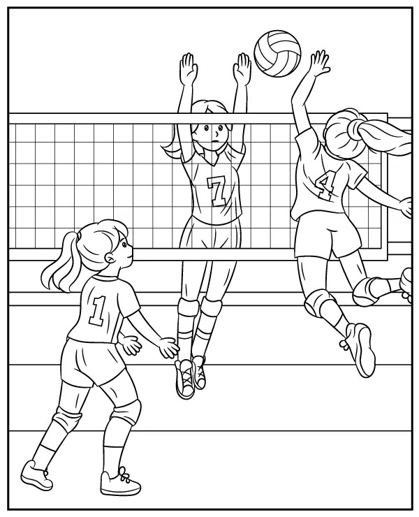 Coloriage Dessin De Volley-Ball Gratuit Pour Les Enfants