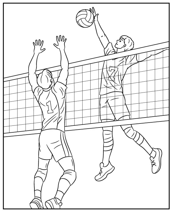 Coloriage Dessin De Volley-Ball Imprimable Pour Les Enfants