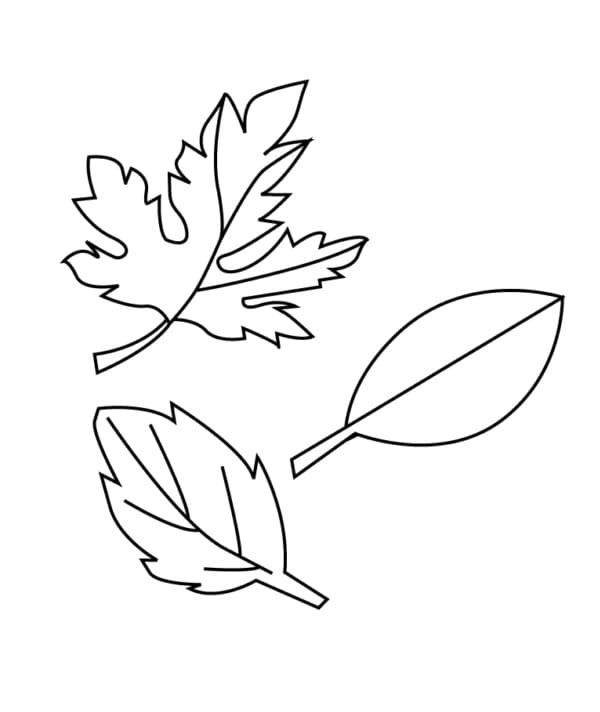 Feuilles Automne 4 coloring page