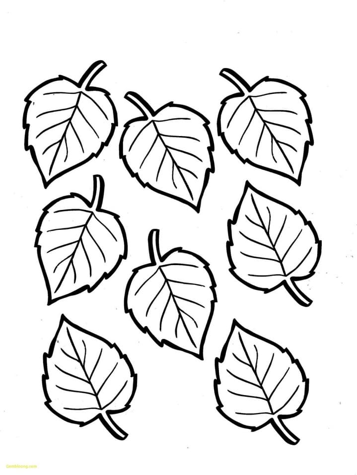 Feuilles Automne 5 coloring page