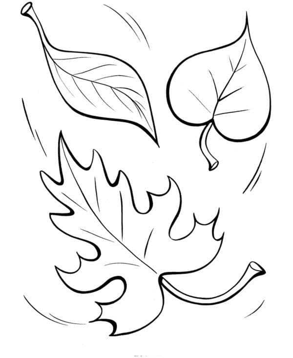 Feuilles Automne 6 coloring page