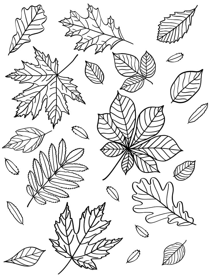 Feuilles d’automne coloring page