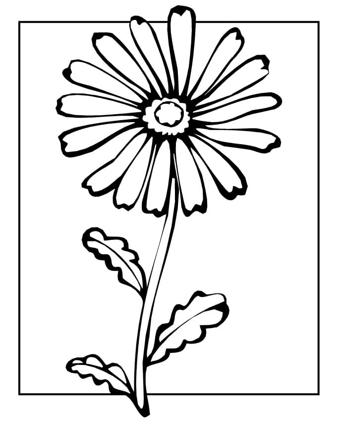Fleur de Marguerite Pour Les Enfants coloring page