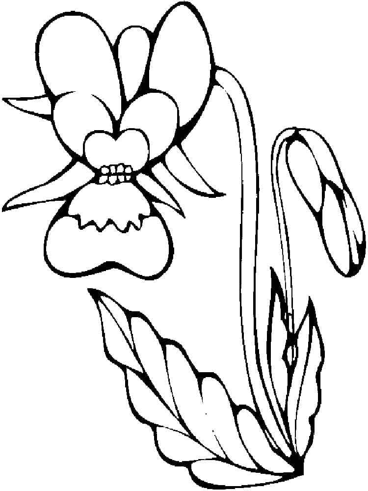 Fleur Orchidée coloring page