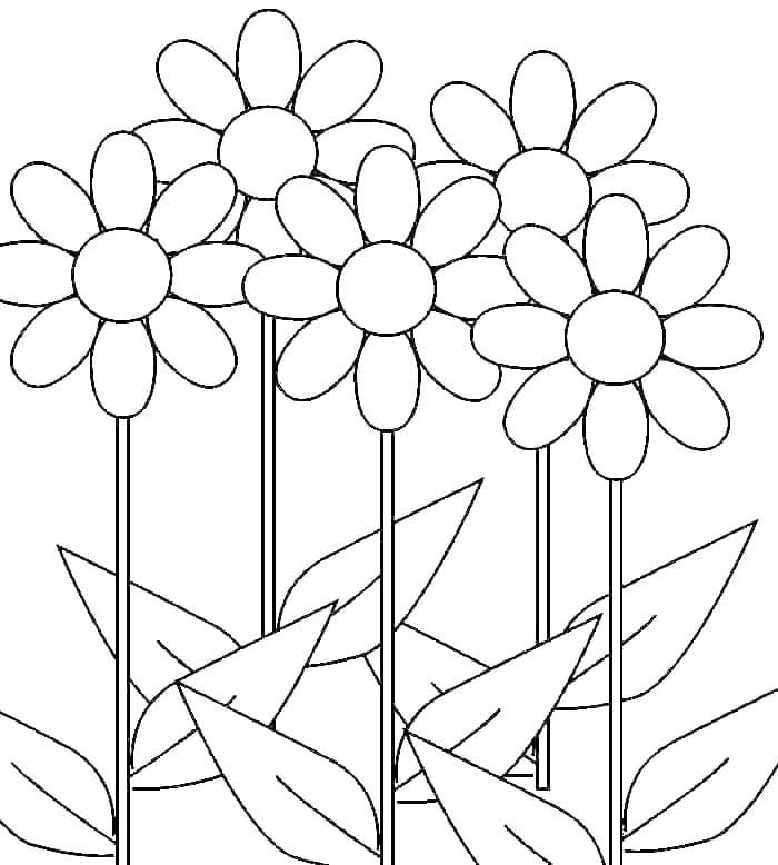 Fleurs Marguerites coloring page